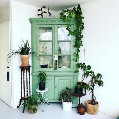 El Feng Shui y las flores El Feng Shui y las flores