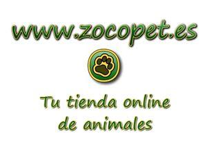 Accesorios para mascotas: perros y gatos en Zocopet.es