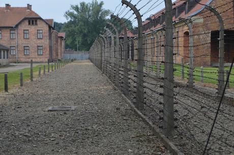 ALGUNAS FOTOS QUE HE TOMADO EN UNA RECIENTE VISITA ALOS CAMPOS DE AUSCHWITZ I Y BIRKENAU (Auschwitz II)