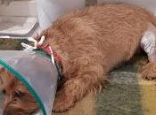 Miércoles Mudo: Confinamiento