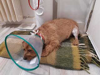 Miércoles Mudo: Confinamiento Miércoles Mudo: Confinamiento