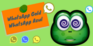 Los 5 tipos de bulos más comunes que circulan por WhatsApp tipos de bulos más comunes en WhatsApp