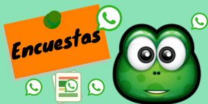 timos de whatsapp