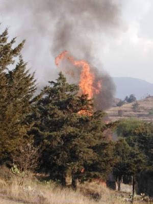 BOMBEROS DE TEXCOCO SE MANTIENEN TRABAJANDO EN EL COMBATE DE INCENDIOS EN LA LOCALIDAD