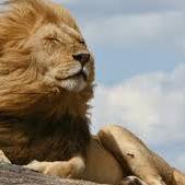 how to increase youtube views by yourself totorro