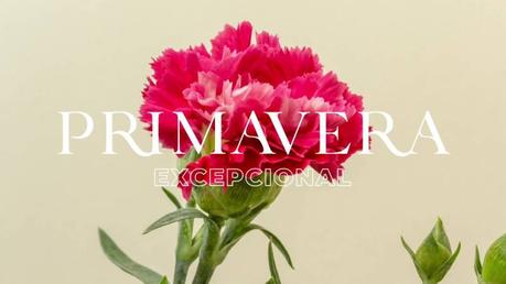 Las flores de primavera silvestres de Colvin