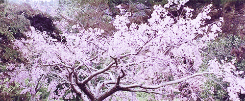 Reseña: El último dragón (Cuentos de Bereth #1) - Javier Ruescas