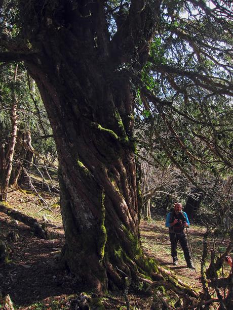 Circular al Vízcares por Traslafuente y Llebrada.