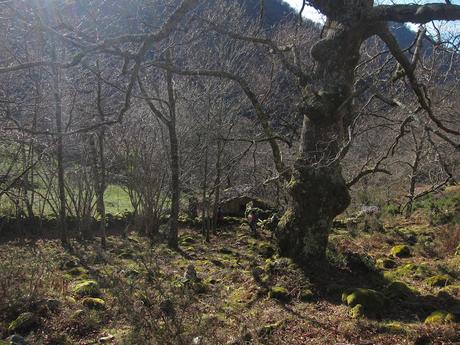 Circular al Vízcares por Traslafuente y Llebrada.