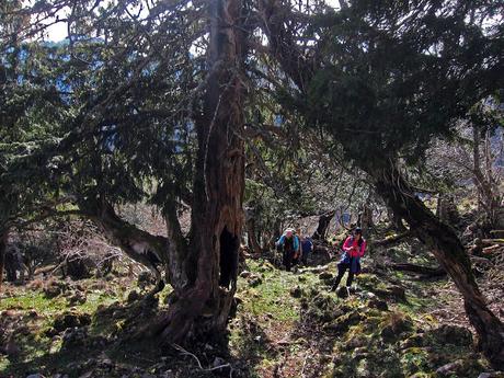 Circular al Vízcares por Traslafuente y Llebrada.