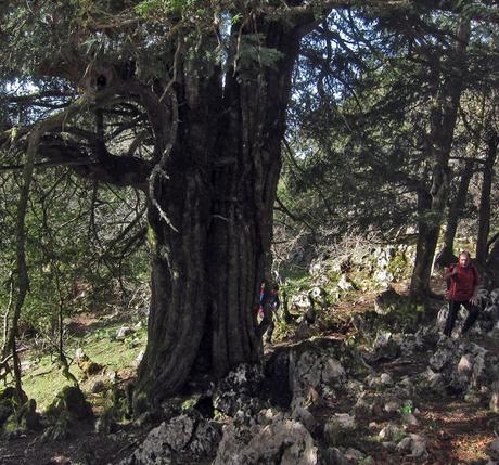 Circular al Vízcares por Traslafuente y Llebrada.
