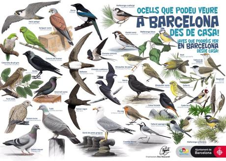 Peques y adolescentes, no os olvidamos. Y las aves tampoco Peques y adolescentes, no os olvidamos. Y las aves tampoco