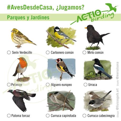 Peques y adolescentes, no os olvidamos. Y las aves tampoco Peques y adolescentes, no os olvidamos. Y las aves tampoco