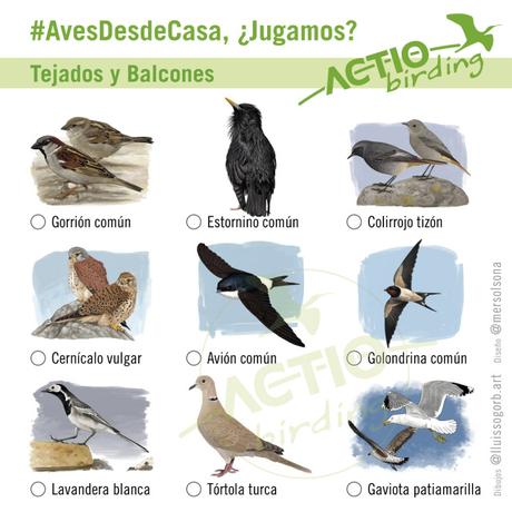 Peques y adolescentes, no os olvidamos. Y las aves tampoco Peques y adolescentes, no os olvidamos. Y las aves tampoco