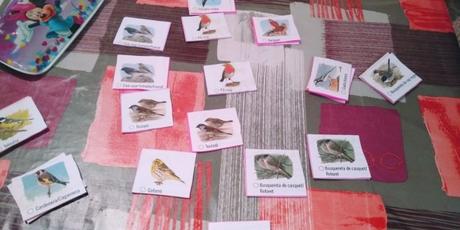 Peques y adolescentes, no os olvidamos. Y las aves tampoco Peques y adolescentes, no os olvidamos. Y las aves tampoco