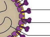 mutaciones coronavirus: debemos alarmarnos