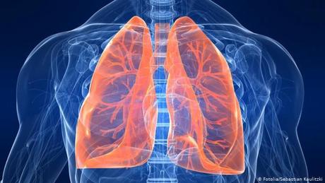 Como cuidar tus pulmones en casa