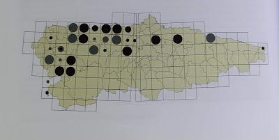 El ave que no debería estar