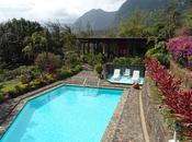 Panamá: rana dorada valle antón