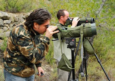 Grandes verdades sobre la observación de aves 1