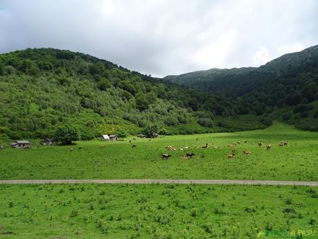 Vega de Brañagallones