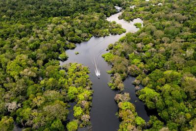 Experimentos con armas biológicas en el Amazonas