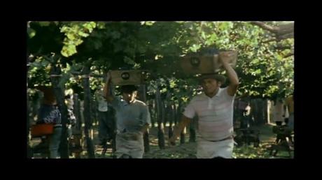 La mamá de mi abuela le contó a mi abuela - 2004