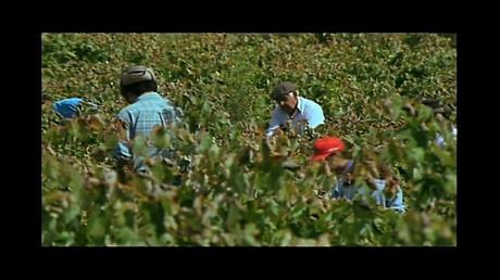 La mamá de mi abuela le contó a mi abuela - 2004