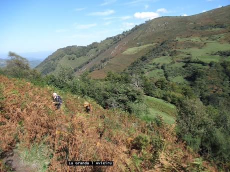 Taxa-Cueiro-Valle del Cubia