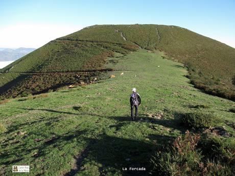 Taxa-Cueiro-Valle del Cubia