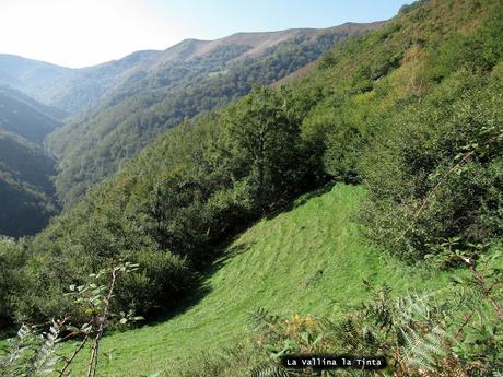 Taxa-Cueiro-Valle del Cubia