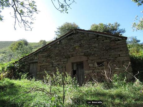 Taxa-Cueiro-Valle del Cubia