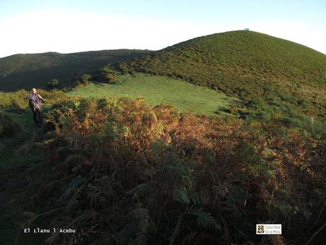 Taxa-Cueiro-Valle del Cubia