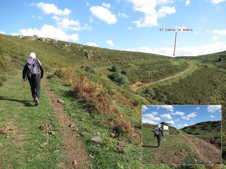 Taxa-Cueiro-Valle del Cubia