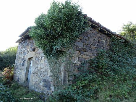 Taxa-Cueiro-Valle del Cubia