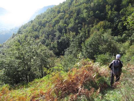 Taxa-Cueiro-Valle del Cubia