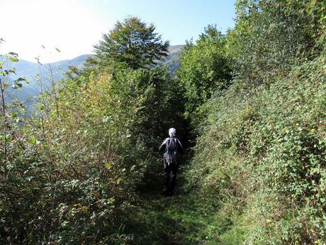 Taxa-Cueiro-Valle del Cubia