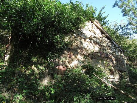 Taxa-Cueiro-Valle del Cubia