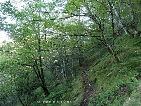 Taxa-Cueiro-Valle del Cubia