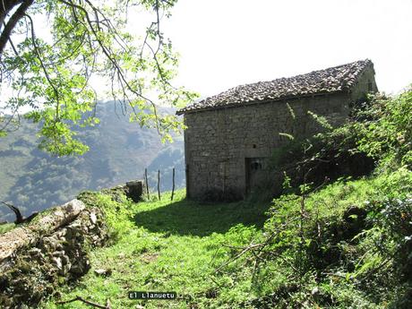 Taxa-Cueiro-Valle del Cubia