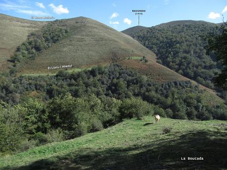 Taxa-Cueiro-Valle del Cubia