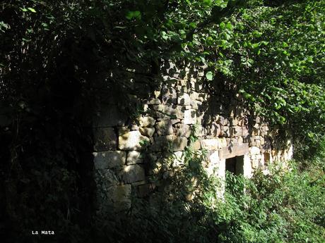 Taxa-Cueiro-Valle del Cubia