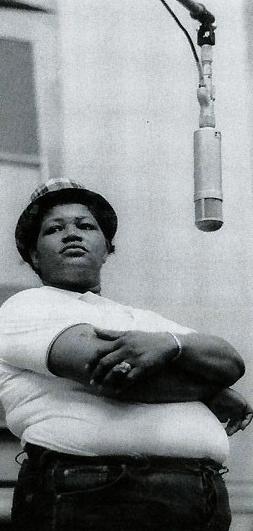 Big Mama Thornton - With the Muddy Waters Blues Band (1966)