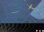 Pedro Aznar Fotos Tokio (1986)