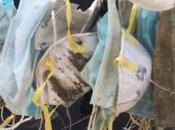 Mascarillas para coronavirus peores bolsas plásticas