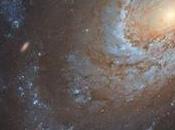 majestuosa Galaxia 4651