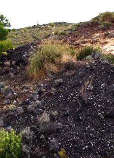 Menas de hierro y su reconocimiento de visu.