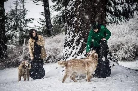 El impulso creativo no está en cuarentena