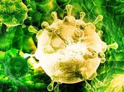 lenguaje virus