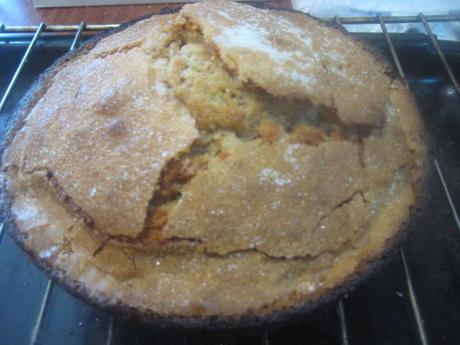 BICA DE TRIVES BICA DE TRIVES